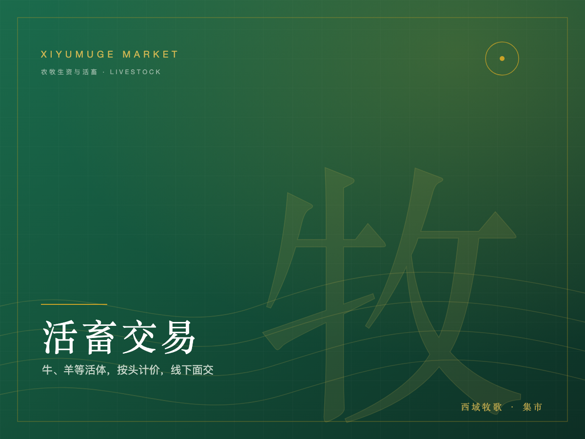 西门塔尔育肥牛(公牛)
