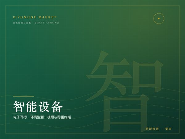 超高频电子耳标